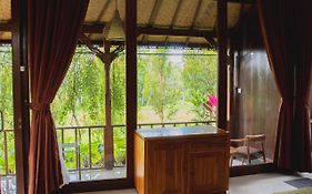 Mancur Guesthouse